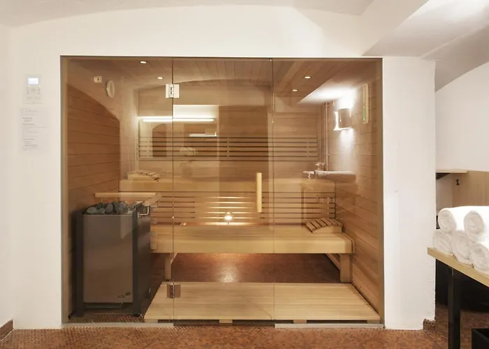 Steiner - In - Out Apartment Zell am See