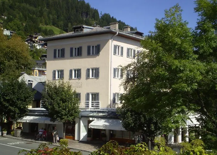 Apartment Steiner - In - Out Zell am See