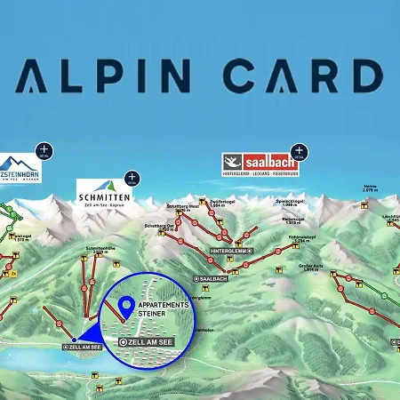 Steiner - In - Out Апартаменты Целль-ам-Зе